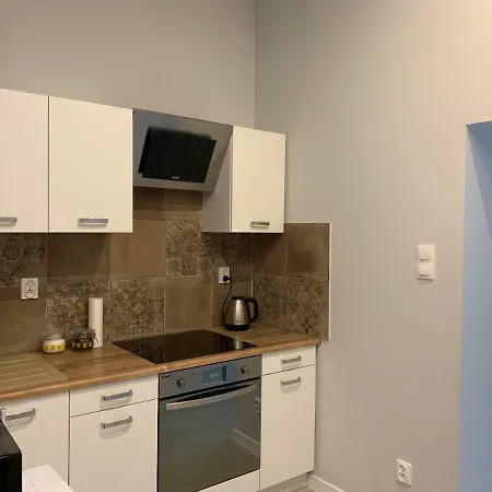 Spacious Lux Apartment, Ostrow Tumski Apartment